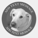 Search for black beauty stickers Simple