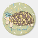 Search for tortoise magnets Turtle