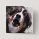 Search for border collie dog badges Animal