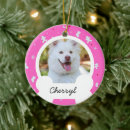 Search for bone christmas tree decorations Pet dog