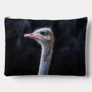 Search for ostrich accessories Portrait