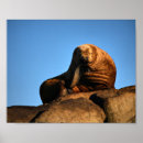 Search for thinker posters Animals