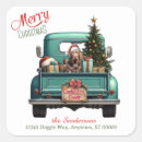 Search for chocolate labrador retriever stickers Merry christmas