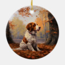 Search for brittany spaniel christmas tree decorations Pet