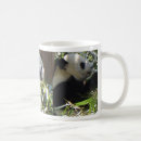 Search for giant panda mugs Bear