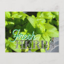 Search for basil postcards Garden