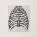 Search for human bones puzzles Halloween