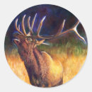 Search for bull elk stickers Nature