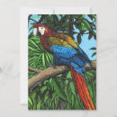 Search for macaws invitations Nature