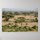 Search for africana art Alison jones