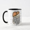 Search for human organ mugs Medical