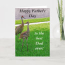 Search for cranes cards Wildlife