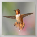 Search for note card posters Orange