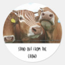 Search for cow horns stickers Bull