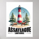 Search for assateague Virginia