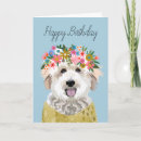 Search for goldendoodle cards Doodle dog