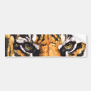 Search for white tigers bumper stickers Nature