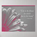 Search for daisy posters Inspirational