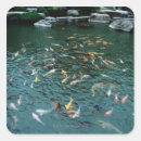 Search for koi pond stickers Horizontal