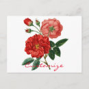 Search for vintage rose illustration postcards Gardening