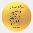 Search for gold horse stickers Golden