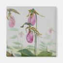 Search for lady slipper magnets Floral
