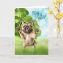 Search for french congratulations cards Dogs