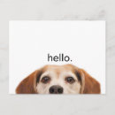 Search for funny beagle postcards Dogs