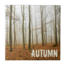 Search for autumn tiles Forest