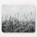 Search for dune mouse mats Landscapes