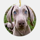 Search for veterinarian christmas tree decorations Dog lover