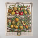 Search for fruit season chart Casteels