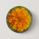 Search for orange flower badges Photograph