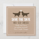 Search for golden retriever invitations Pets