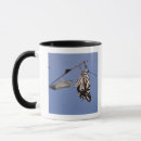 Search for metamorphosis mugs Growth