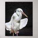 Search for heron art Tropical