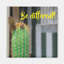 Search for be different magnets Nature