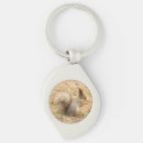 Search for squirrel photos key rings Nature