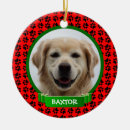 Search for labrador christmas tree decorations Puppy