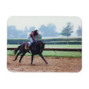 Search for horse race magnets Racing