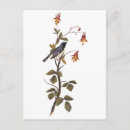 Search for throat postcards Nature