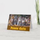 Search for hippie cat cards Hippy