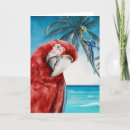 Search for tropical parrot cards Macaw
