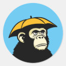 Search for ap round stickers Chimpanzee