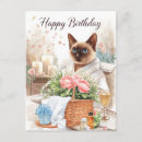 Search for spa day cards Cat
