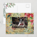 Search for dog christmas postcards Holly