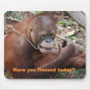 Search for dental mouse mats Mouth