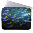 Search for scuba diving cases Blue