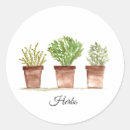 Search for thyme stickers Herb