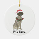 Search for german shorthaired pointer gifts White